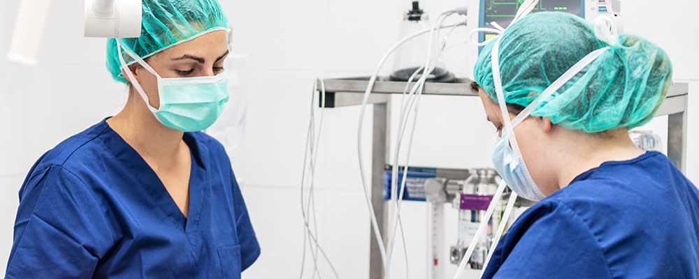 Nurses working on the floor